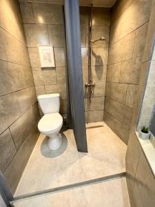 a bathroom with a toilet and a shower at Mouse House in Chişinău