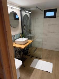 a bathroom with a sink and a glass shower at Casa Gorjeana Complex Agroturistic in Peştişani +46 photos