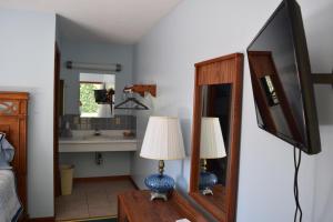 a bedroom with a mirror and a lamp on a table at Green Valley Motor Lodge in Nashville