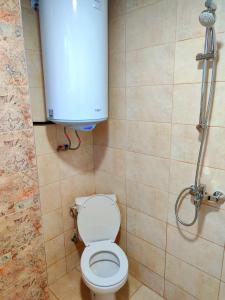 a bathroom with a toilet and a water tank at Goranovi House in Pleven +4 photos