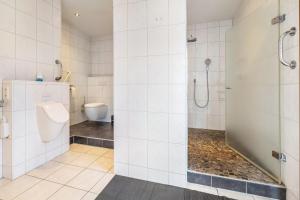 a bathroom with a shower and a toilet at Ferienwohnung Ostermann in Plettenberg +17 photos