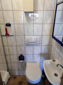 a small bathroom with a toilet and a sink at Ferienwohnung Waldblick in Langenfeld +21 photos