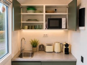 a kitchen with a sink and a microwave at Aktivurlaub im Schwarzwald Natur Sport und Erholung in Efringen-Kirchen +11 photos