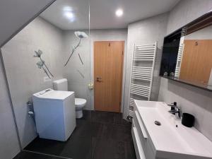 a bathroom with a white toilet and a sink at Alpine Forest Apartments in Radovljica
