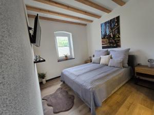 a bedroom with a bed and a television in it at Scheuneria, Gästehaus in Dockweiler