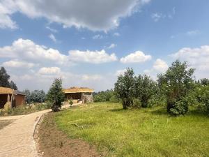 a field with trees and a dirt road at Gahinga Community Lodge in Kinigi