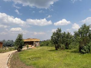 a building in the middle of a field with trees at Gahinga Community Lodge in Kinigi