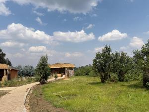 a house in a field next to a road at Gahinga Community Lodge in Kinigi