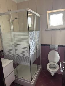 a bathroom with a shower and a toilet at Apartment Ćule in Senj +16 photos