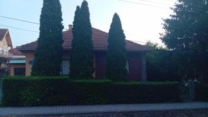 a house with four trees in front of it at Marinel in Vršac