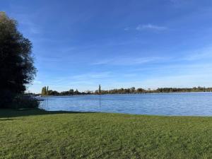 a large body of water with a tree and a grass field at Rotes Haus im Havelland in Phöben +8 photos