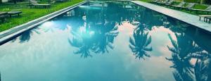 a pool with a reflection of the sky in the water at Jungle safari inn in Udawalawe