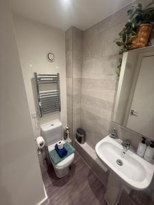 a bathroom with a white sink and a toilet at Number 15 Luxurious Two Bedroom Apartment - free secure parking in Exmouth +28 photos