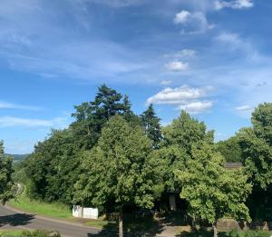 a group of trees on the side of a road at Eifelliebe in Bergweiler