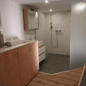 a bathroom with a shower and a sink at Thalerhof-Markus in Roppen +66 photos