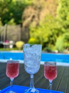 two wine glasses with ice on a table at CASA DRENCOVA SRL in Berzasca