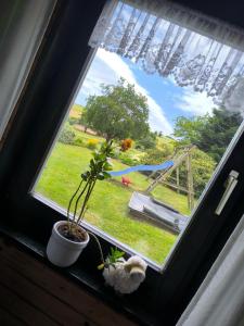 a window with a potted plant and a view of a playground at Ferienhaus Schallerhof in Kupferberg