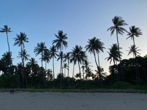 a group of palm trees on the beach at French Garden Eagle Wings Inn in Trincomalee +20 photos
