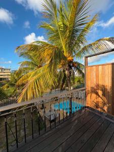 a deck with a palm tree and a swimming pool at Appartement hibiscus in Grand-Baie