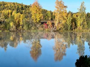 a reflection of trees in a lake with a bridge at Husby Wärdshus in Dala Husby