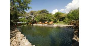 a pool of water with orange lounge chairs in it at Lake Natron Tented Camp in Mtowabaga