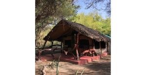 a small hut with a thatched roof and red steps at Lake Natron Tented Camp in Mtowabaga