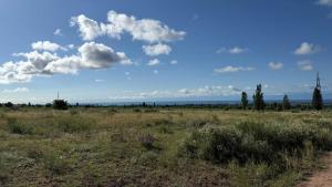 a field of grass with a blue sky and clouds at Eneshka- дача in Dolinka