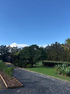 a gravel driveway with trees and a lawn at The palms farmhouse in Puketona