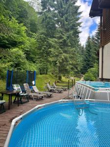 a swimming pool with chairs and a table and trees at Hotel Dykyi Med in Tatariv
