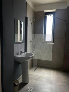 a bathroom with a sink and a shower at LA MĂRIUCA camere de inchiriat in Moineşti