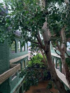 a tree in the middle of a building at Vyom Hostel in Pushkar