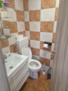 a bathroom with a toilet and a sink at Apartma Alja Podkoren in Kranjska Gora