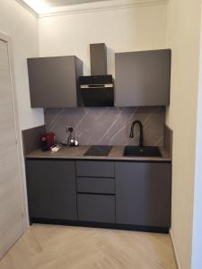 a kitchen with a sink and a counter top at Manu & Manu Rooms in Garlenda