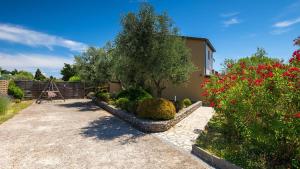 a garden with a tree and some bushes at Casa Aneri by Villas Guide in Pavicini
