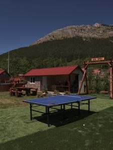 a ping pong table in a yard with a mountain at Veis House in Vrba
