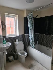 a bathroom with a toilet and a tub and a sink at FV Dwelling in Nottingham