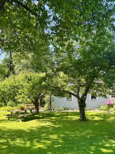 a park with a picnic table and trees in the grass at Dalsäter Kolmården in Kolmården +15 photos