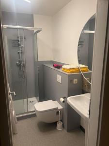 a bathroom with a shower and a toilet and a sink at Pension Flying Ranch in Dermsdorf
