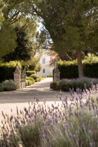 a garden with purple flowers in front of a house at Relais Il Santissimo in Turi