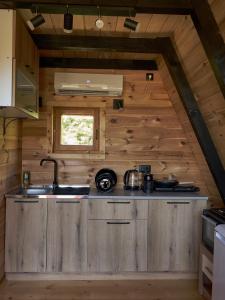 a kitchen in a tiny house with wooden walls at Veis House in Vrba