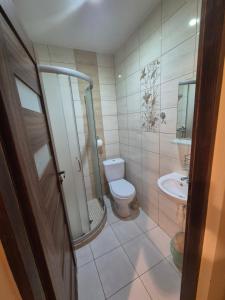 a bathroom with a toilet and a sink at Pod lasem dom letniskowy in Majdan Sopocki +22 photos