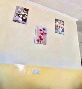a wall with pictures of flowers on it at Tranquil stays in Bungoma