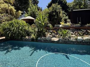 a swimming pool in a yard with a garden at Tranquility in Cape Town