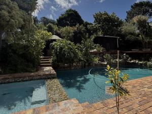 a swimming pool in a yard with trees at Tranquility in Cape Town