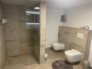 a bathroom with a shower and a toilet and a sink at WOOD hOUSE in Vrbovsko +13 photos