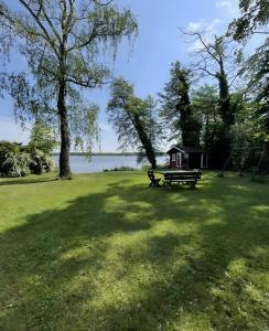 a picnic table in a field next to a lake at Sommerhaus Seeblick in Klausdorf Brandenburg