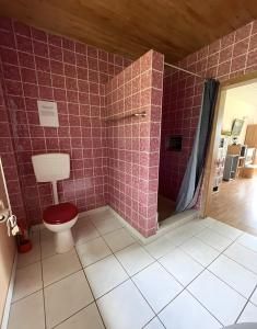a bathroom with a toilet and a shower with pink tiles at Sommerhaus Seeblick in Klausdorf Brandenburg +3 photos