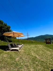 a group of chairs under an umbrella on a field at Vershok villa in Slavske