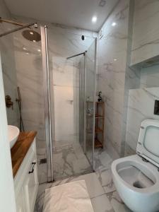 a bathroom with a shower and a toilet at ODAR suite in Caesarea +11 photos
