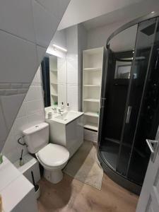 a bathroom with a toilet and a shower and a sink at T3 proche musées et panorama in Château-Chinon